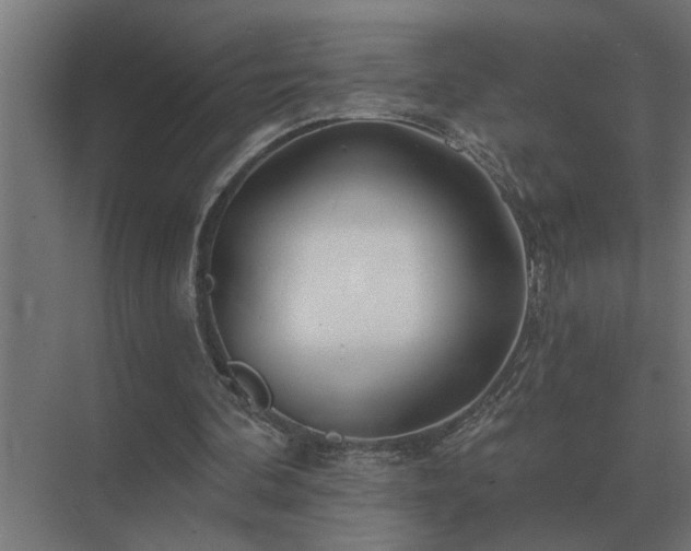 X0000075400292200609151827