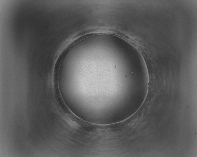 X0000075400296200609151827