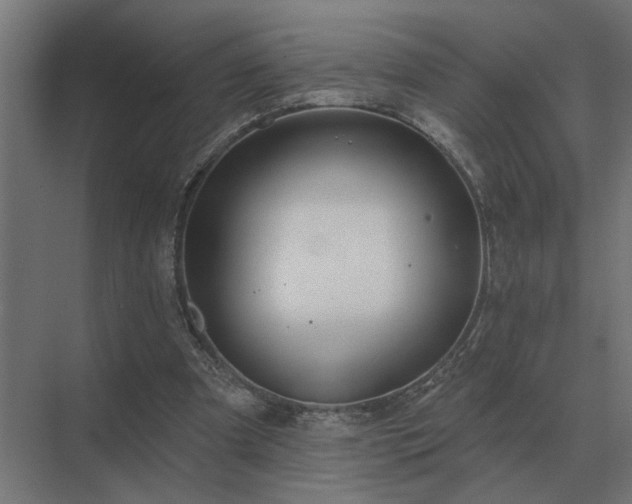 X0000075400297200609151827