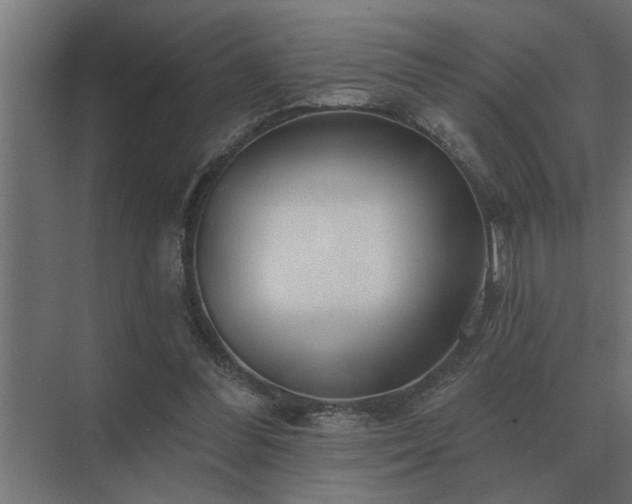 X0000075400300200609151827