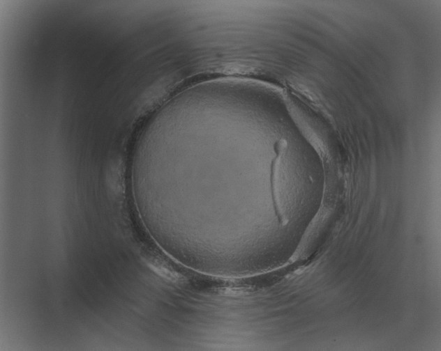 X0000075400303200609151827