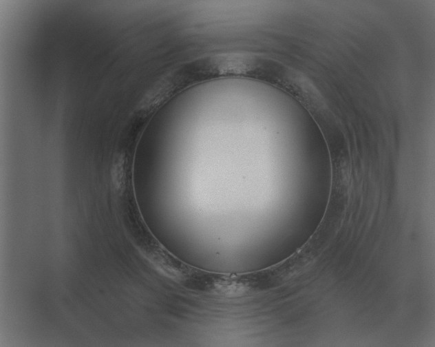 X0000075400311200609151827