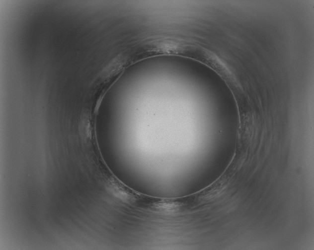 X0000075400313200609151827