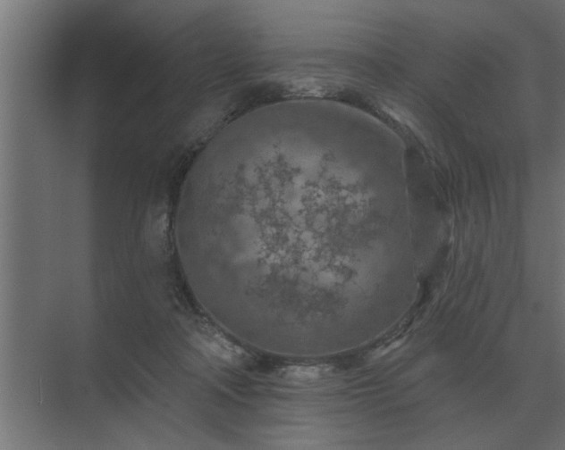 X0000075400314200609151827