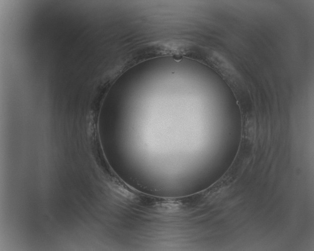 X0000075400318200609151827