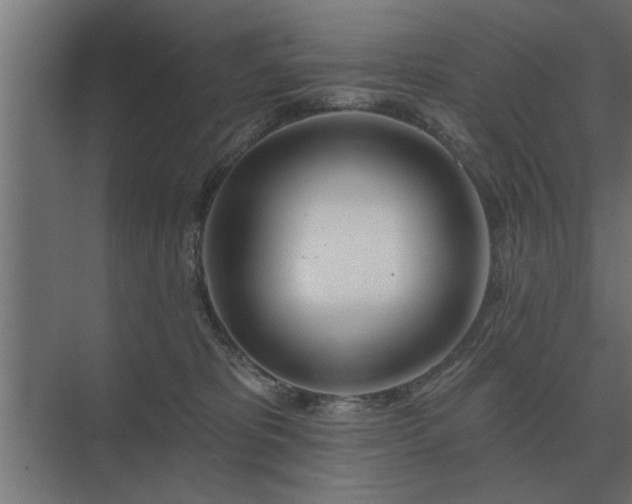 X0000075400325200609151827