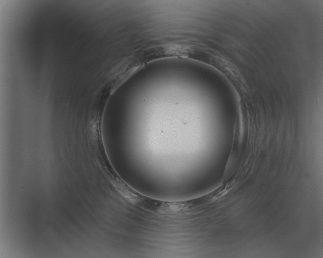 X0000075400329200609151827
