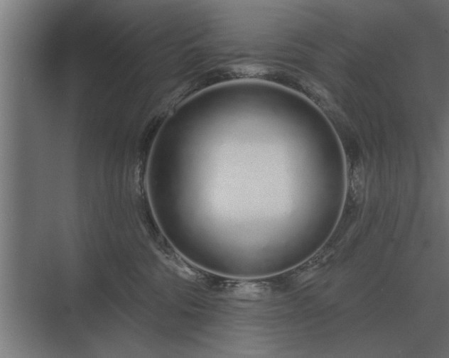 X0000075400330200609151827