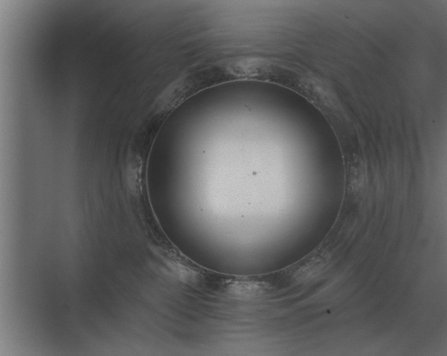 X0000075400332200609151827