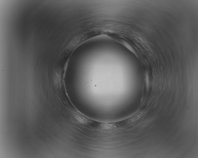 X0000075400333200609151827