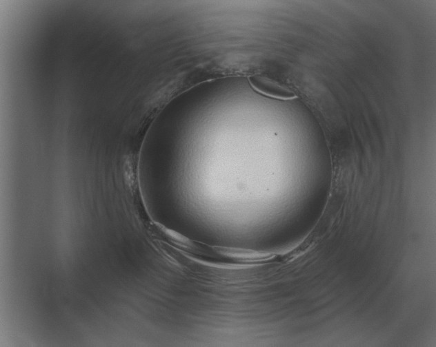 X0000075400335200609151827