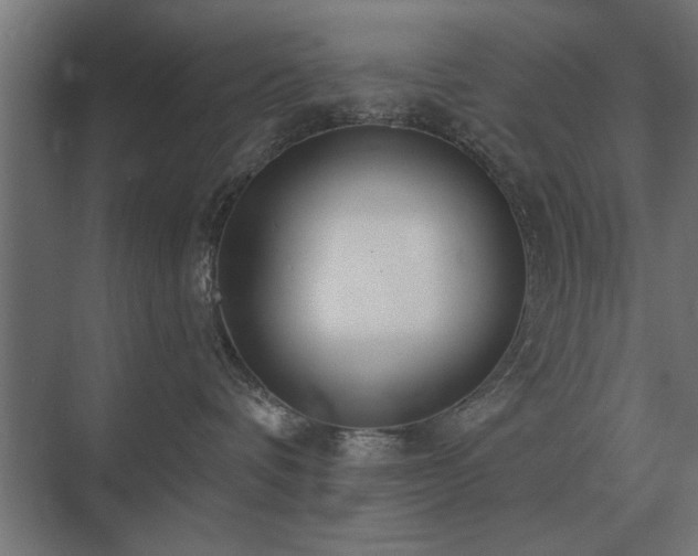 X0000075400336200609151827