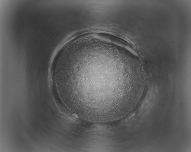 X0000075400343200609151826