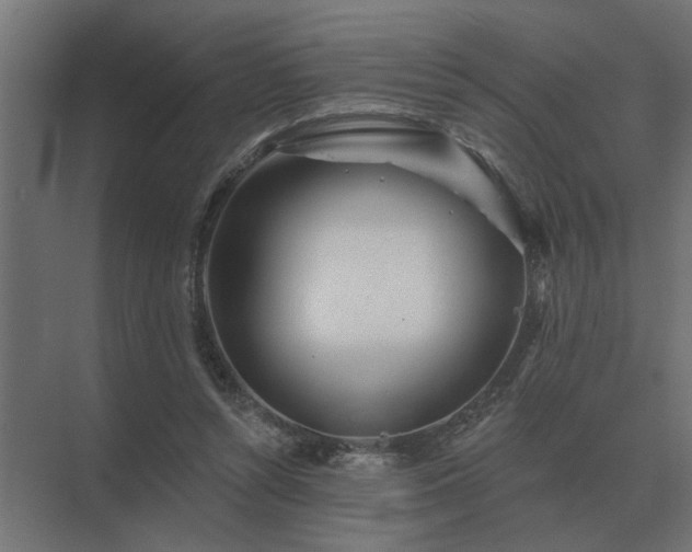 X0000075400352200609151826