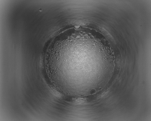 X0000075400359200609151826