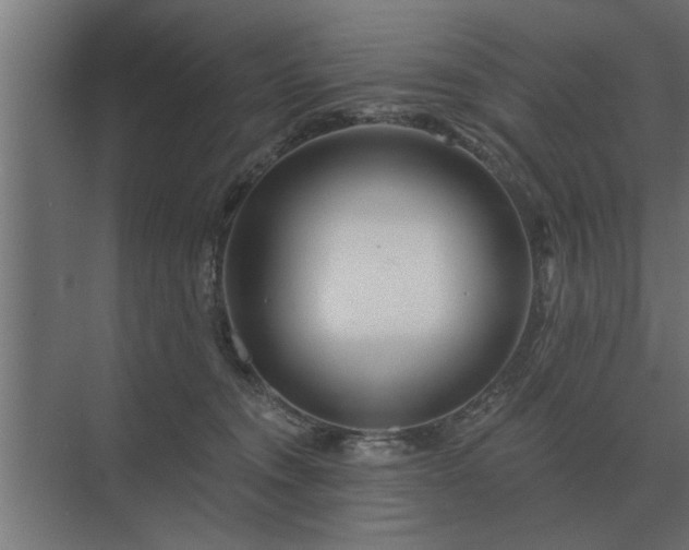 X0000075400372200609151826