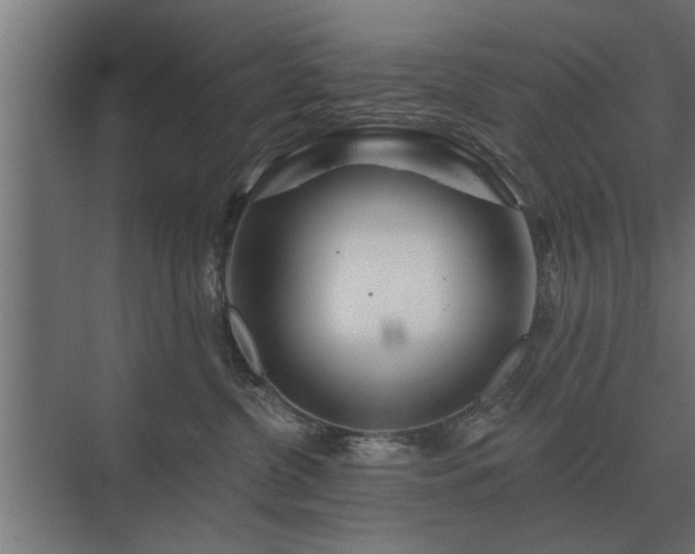 X0000075400380200609151827