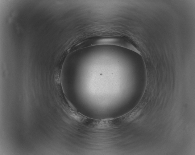 X0000075400384200609151827