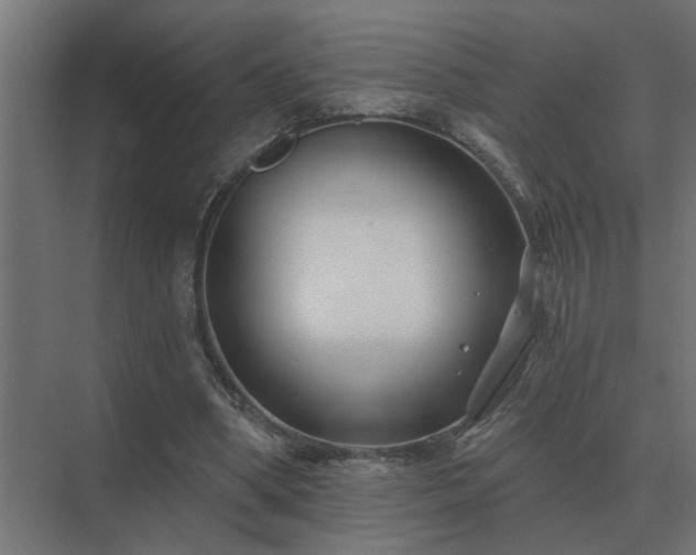 X0000075400394200609151826