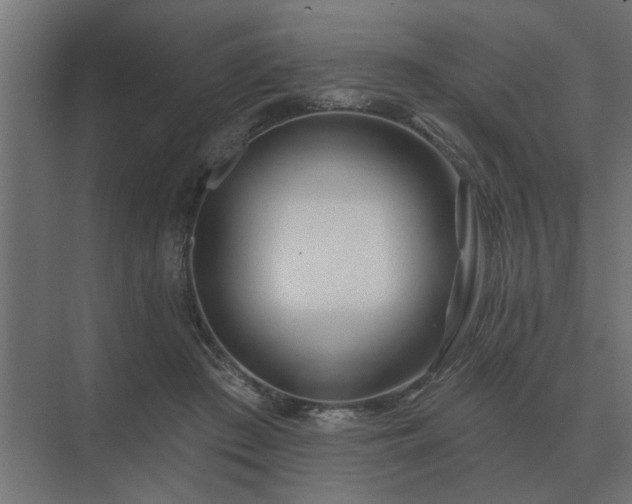 X0000075400409200609151825