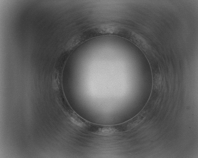 X0000075400414200609151825