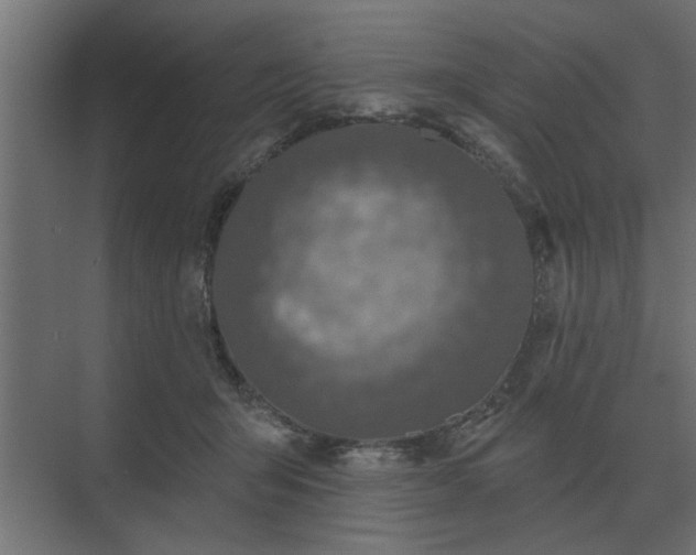 X0000075400415200609151825