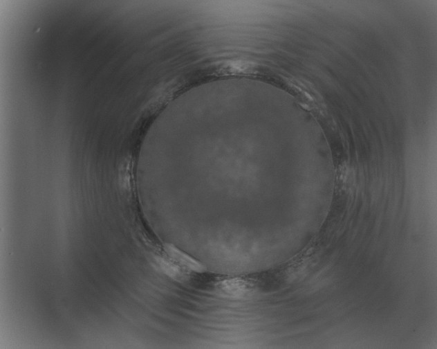 X0000075400423200609151825