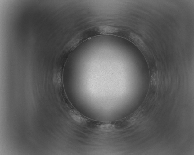 X0000075400426200609151825