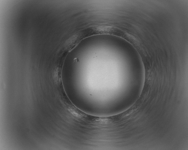 X0000075400428200609151825