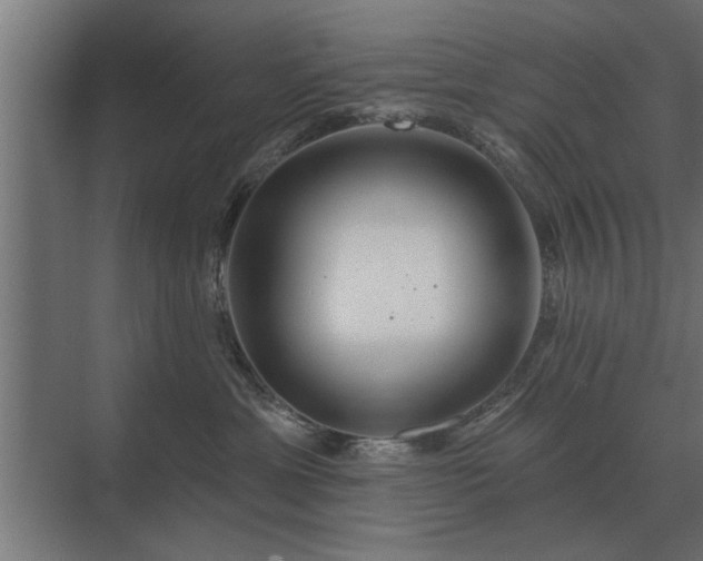 X0000075400429200609151825