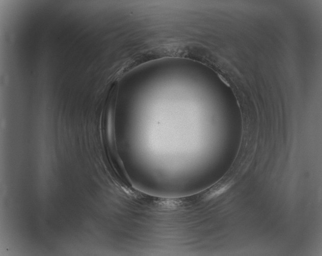 X0000075400432200609151825