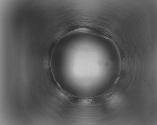 X0000075400474200609151825