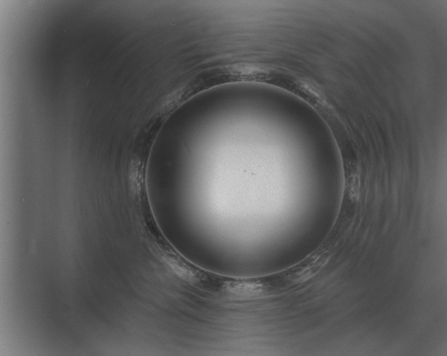 X0000075400476200609151825