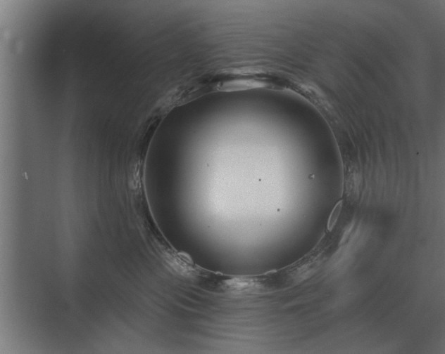 X0000075400477200609151825