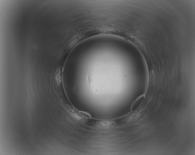 X0000075400479200609151825
