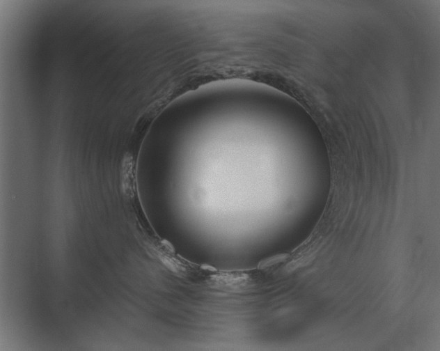 X0000075400480200609151825