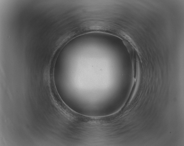 X0000075400482200609151824