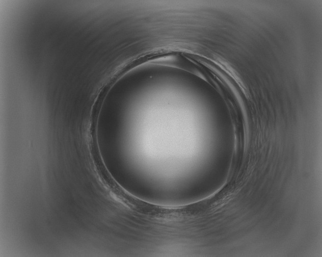 X0000075400485200609151824