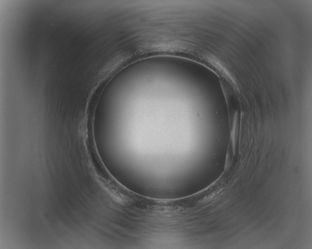 X0000075400486200609151824