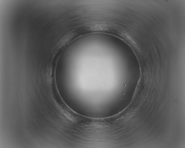X0000075400490200609151824