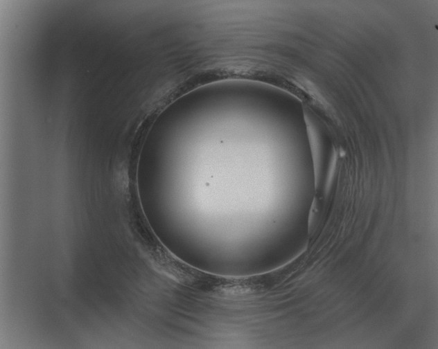 X0000075400500200609151824