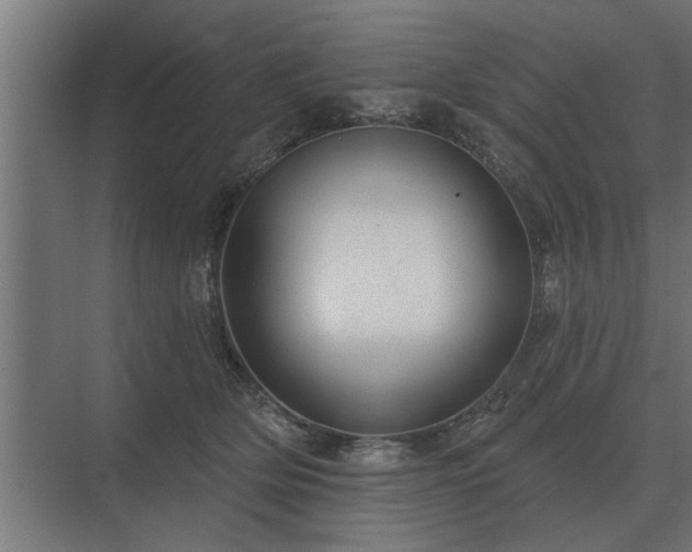 X0000075400514200609151824