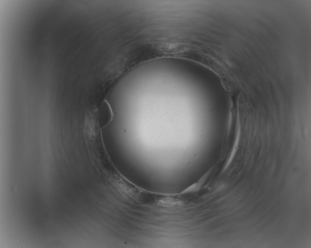 X0000075400515200609151824