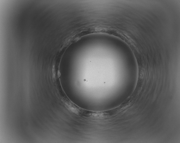 X0000075400524200609151823