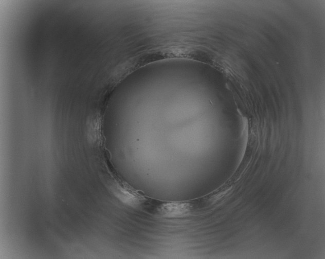 X0000075400526200609151823