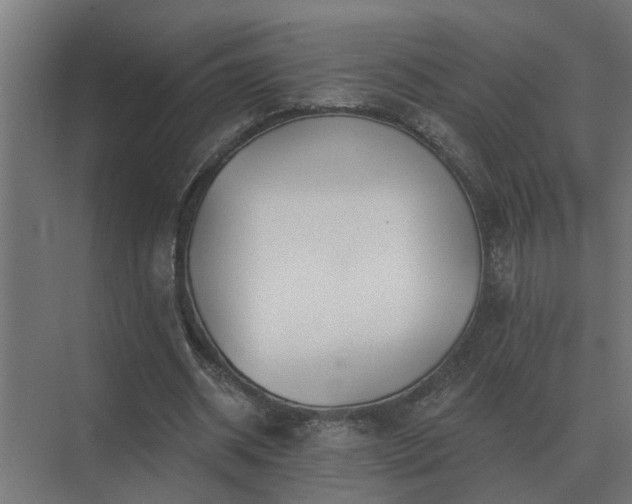 X0000075400534200609151823