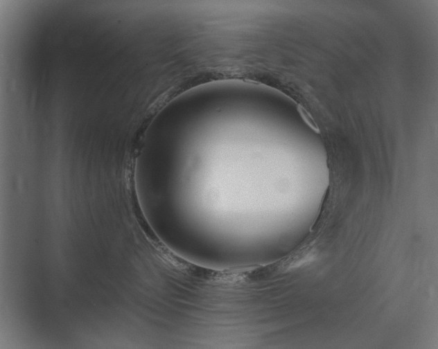 X0000075400576200609151823