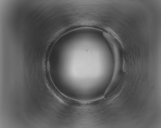 X0000075400581200609151823