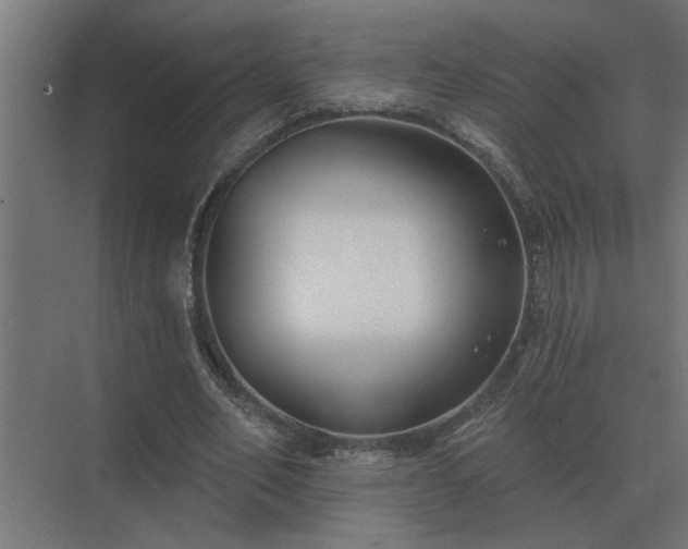 X0000075400582200609151823