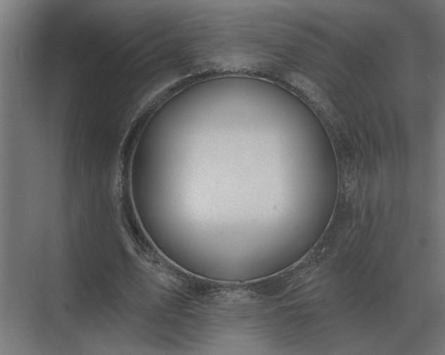 X0000075400583200609151822